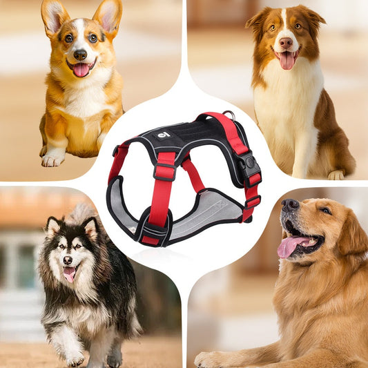 🐶🔥 50% ZNIŻKI NA CZAS OGRANICZONY! Uprząż antyciągowa ze smyczą i obrożą ✨ Maksymalna kontrola i bezpieczeństwo podczas każdego spaceru 🌙