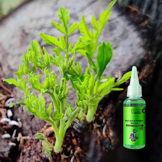 🌿 【🔥Oferta ograniczona czasowo🔥】【3 butelki 99 zł.】 Szybko działający roztwór składników odżywczych dla roślin – uniwersalny środek ukorzeniający dla wszystkich roślin (50% zniżki)