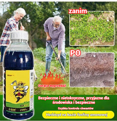 【Kup 1, a 2 dostaniesz gratis】 Wysoce skoncentrowany herbicyd glufosynat amonowy